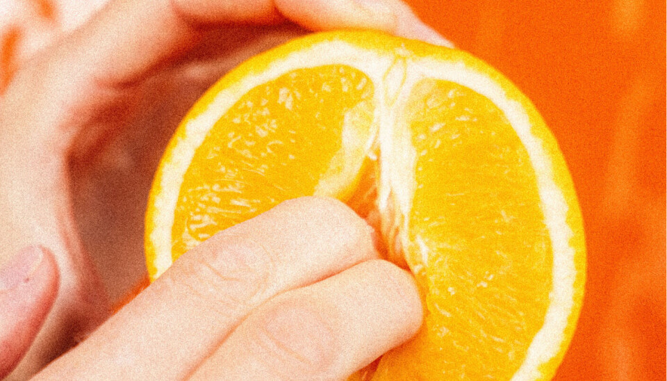 The article to remind us that yes, women masturbate too.