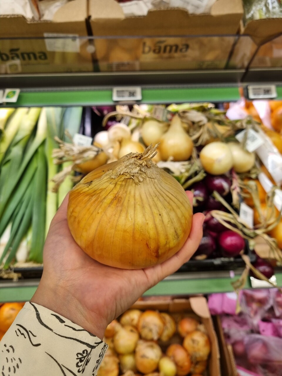 ONION: I have never seen such a big onion before.